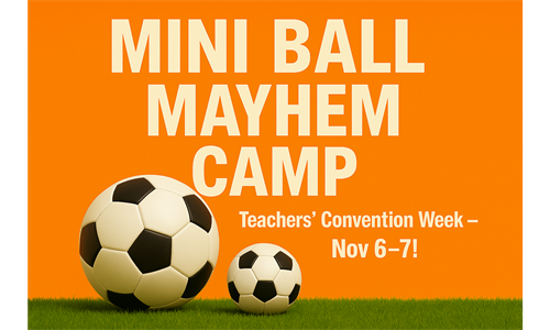 Mini Ball Mayhem Camp